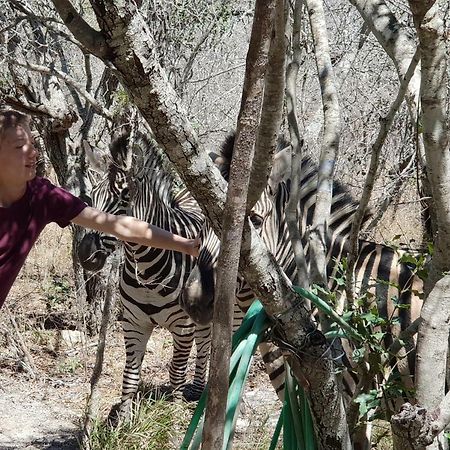 Lionsview Private Lodge - 6 Lions مارلوث بارك المظهر الخارجي الصورة
