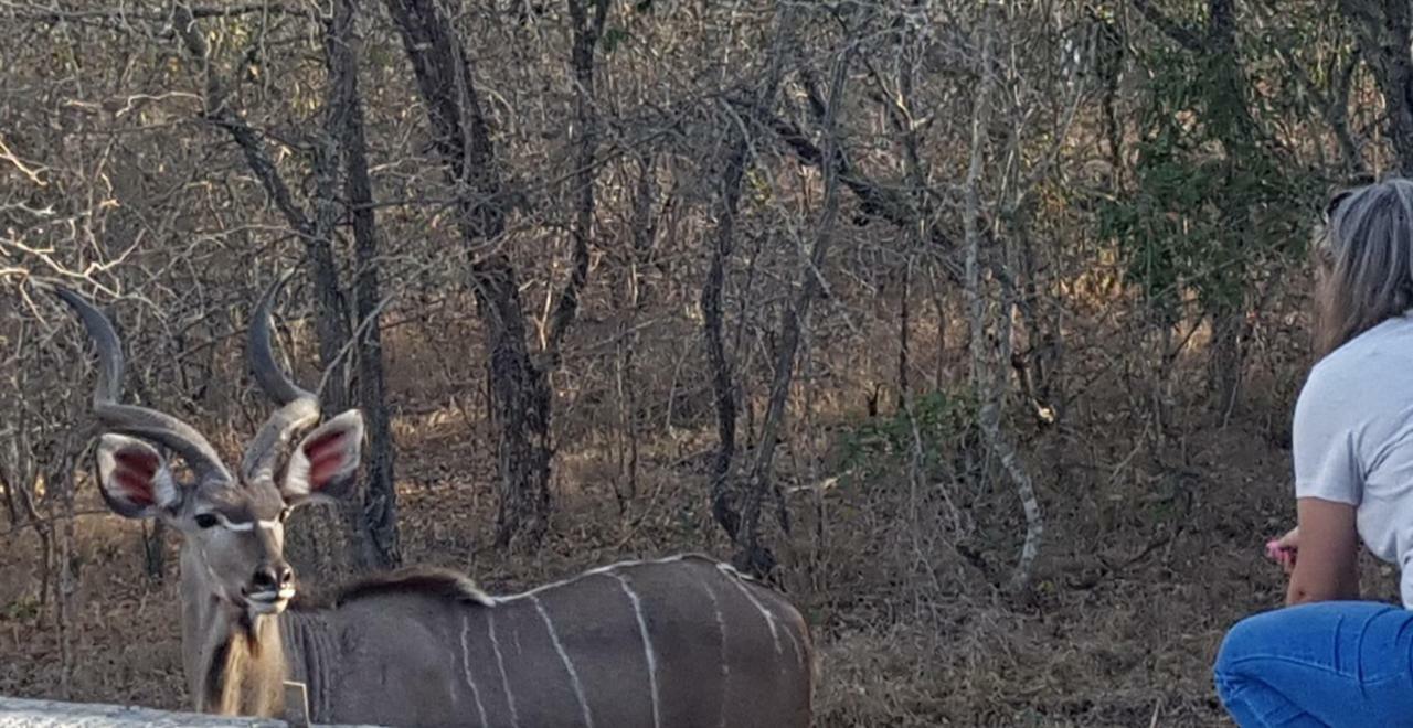 Lionsview Private Lodge - 6 Lions مارلوث بارك المظهر الخارجي الصورة
