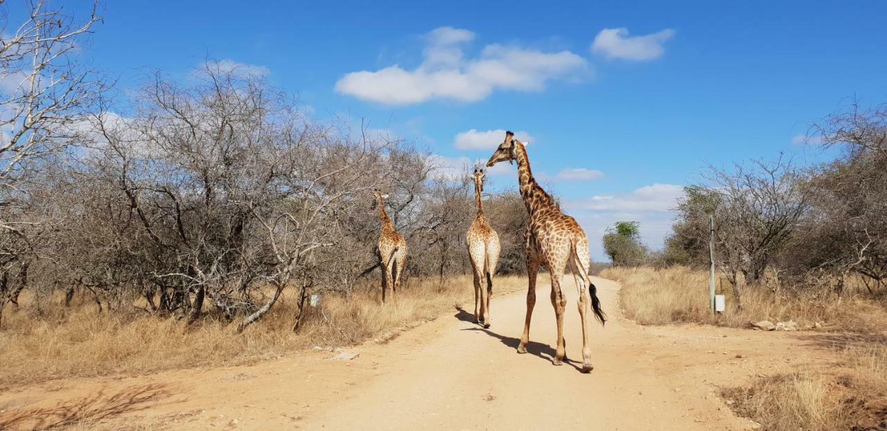 Lionsview Private Lodge - 6 Lions مارلوث بارك المظهر الخارجي الصورة