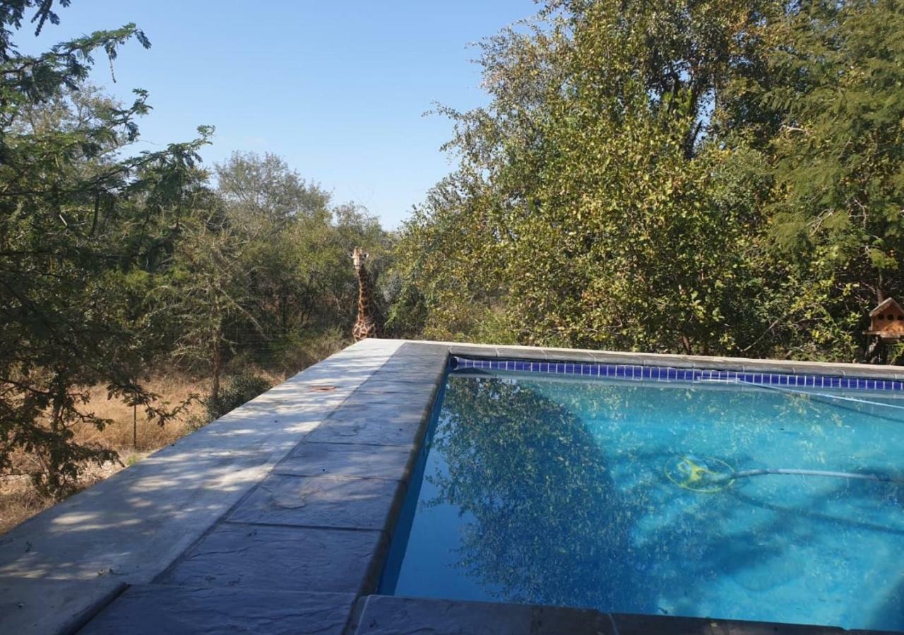 Lionsview Private Lodge - 6 Lions مارلوث بارك المظهر الخارجي الصورة